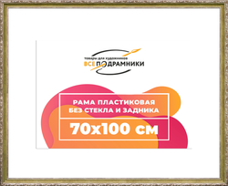 Рама 70x100 для картин и фотографий