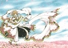 CLAMP COLOR KURO. Официальные иллюстрации с выставки CLAMP