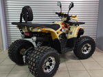 Квадроцикл PROMAX WILD 2.0 190 PRO (2025)
