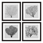 ПостерPrints Shadow Sea Fans set of 4 арт.112752