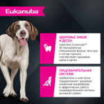Сухой корм Eukanuba для взрослых собак крупных и очень крупных пород старше 1 года с ягненком 3 кг
