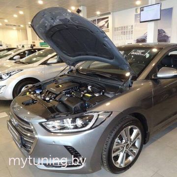 Амортизаторы (упоры) капота для Hyundai Elantra 6(VI)