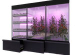 Лаборатория для зелени, овощей, малины Greenbar ПАК BIO_PRO_LABORATORI-31-365