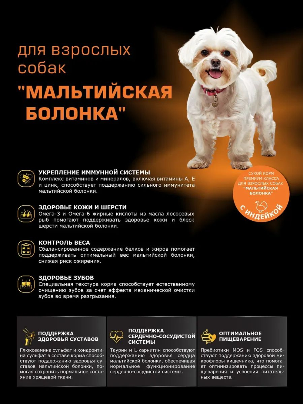 Корм сухой для взрослых собак породы Мальтийская болонка, с индейкой, 12 кг, QUATTRO