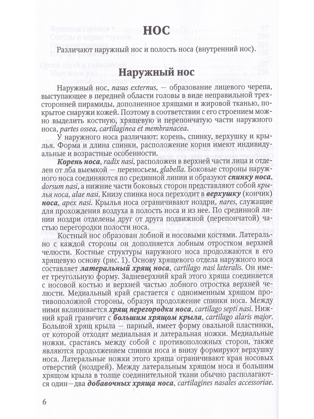 Функциональная анатомия ЛОР-органов