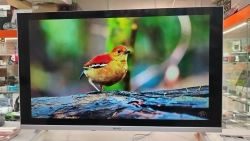 Телевизор EVO TV 32