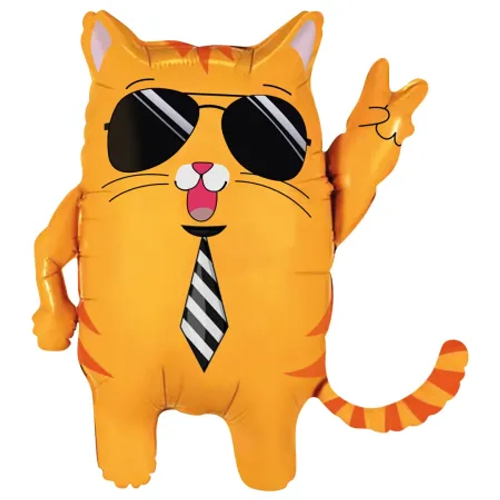 Кот в очках