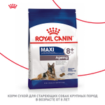 Royal Canin Maxi Ageing 8+ Макси Эйджинг Корм сухой для стареющих собак крупных пород старше 8 лет 15кг