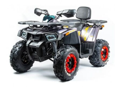 Квадроцикл MOTOLAND 200 WILD TRACK X PRO
