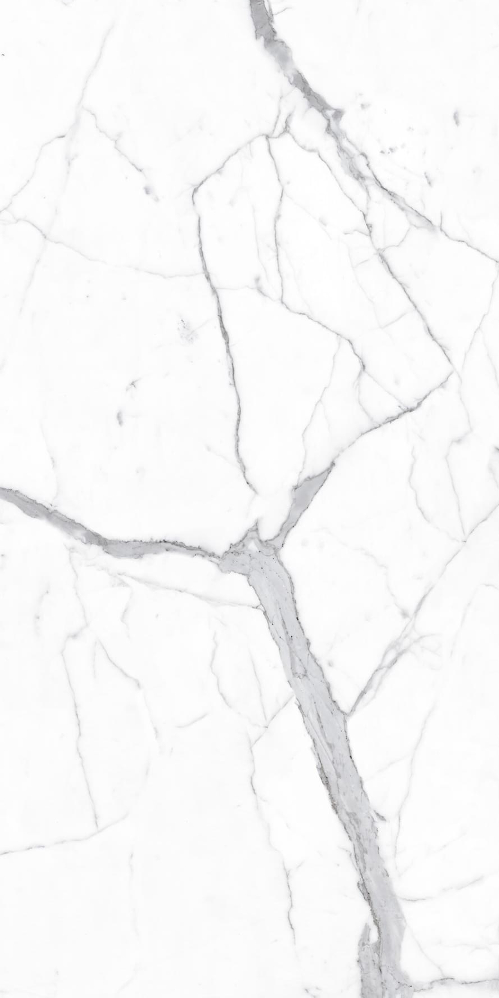 ARTCER 1XL Alps Statuario 120x240