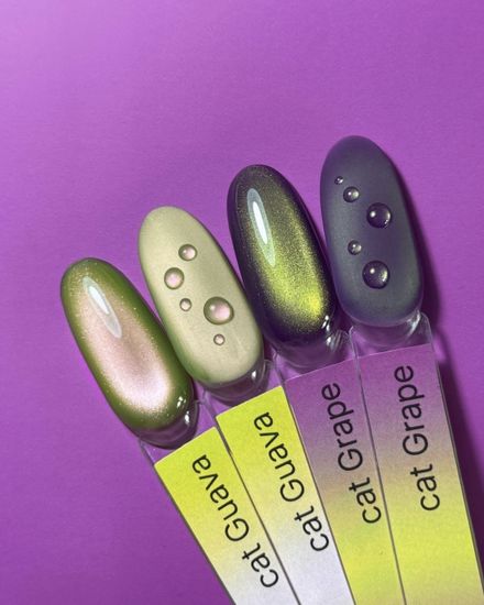 Grape cat color gel Iperfect 10g