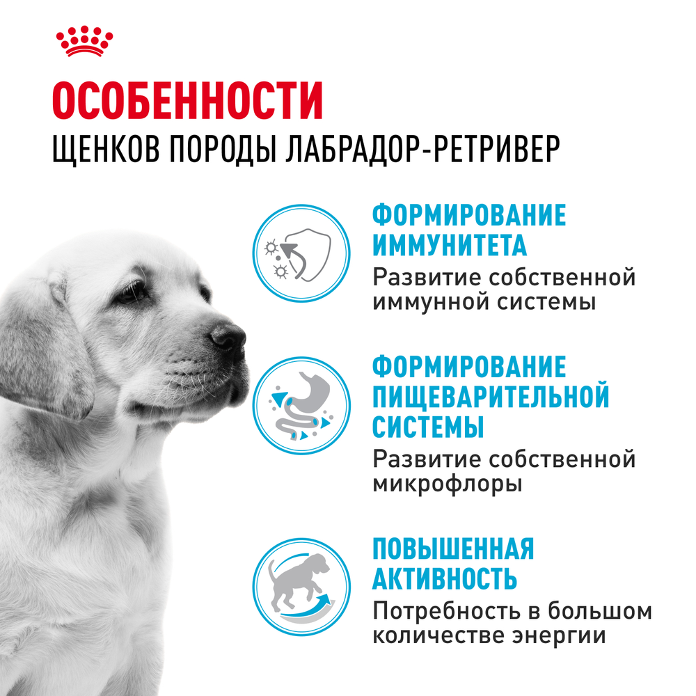 Royal Canin Labrador Retriever Puppy Лабрадор Ретривер Паппи Корм сухой для щенков породы Лабрадор Ретривер до 15 месяцев 12кг
