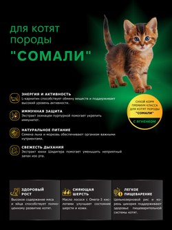 Корм сухой для котят породы Сомали, с ягненком, 400 гр, QUATTRO