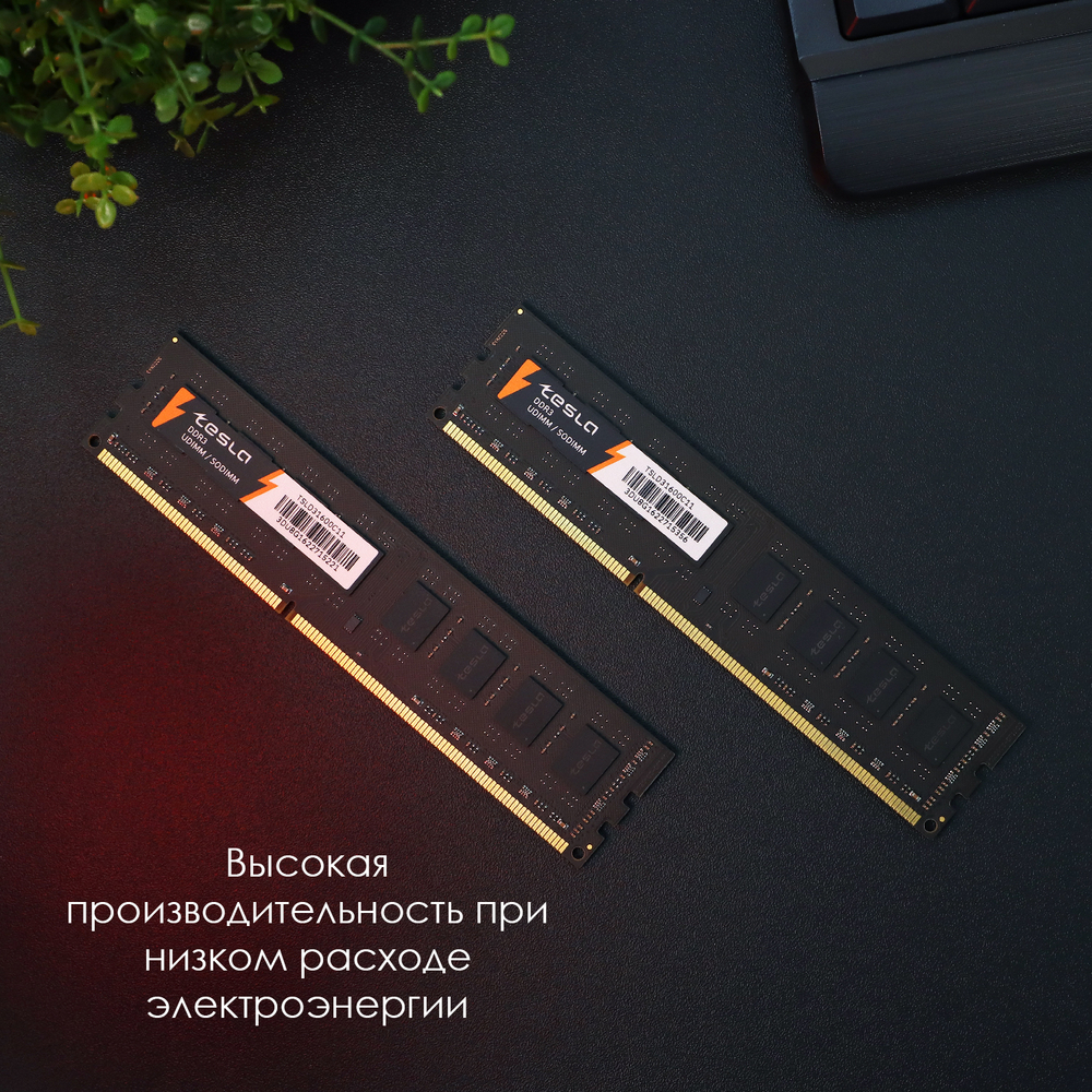 Память ТЕСЛА (TESLA) DDR3 DIMM 8Гб, 1600МГц, CL11, Retail, 1.35/1.5В (TSLD3-1600-C11-8G)