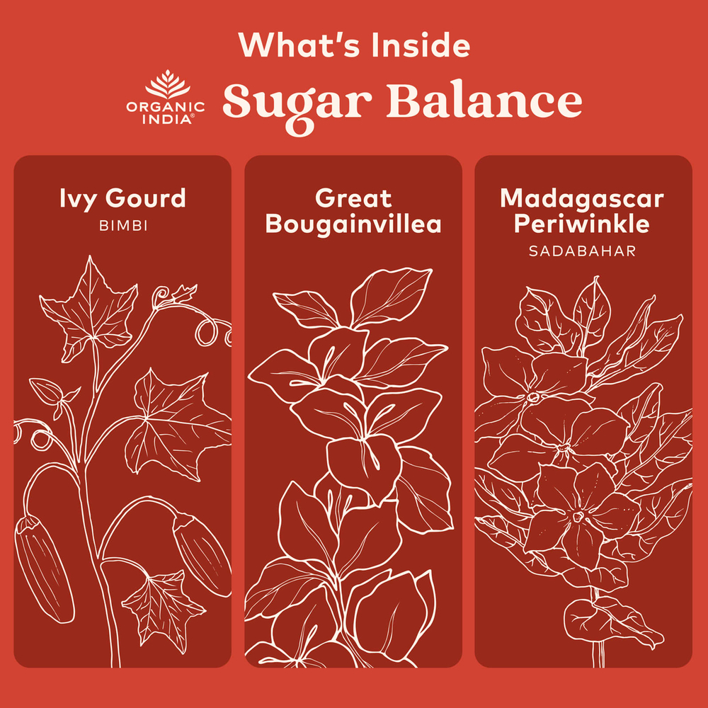 Organic India, Sugar Balance, здоровый метаболизм глюкозы, 90 растительных капсул