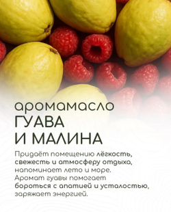 Эфирное масло «Гуава и малина», 10 мл, «Богатство Аромата»
