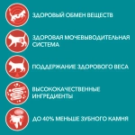 Говядина с морковью, 75г влажный корм для кошек для стерилизованных, Purina ONE