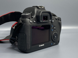 Canon EOS 6D 3 313 кадров
