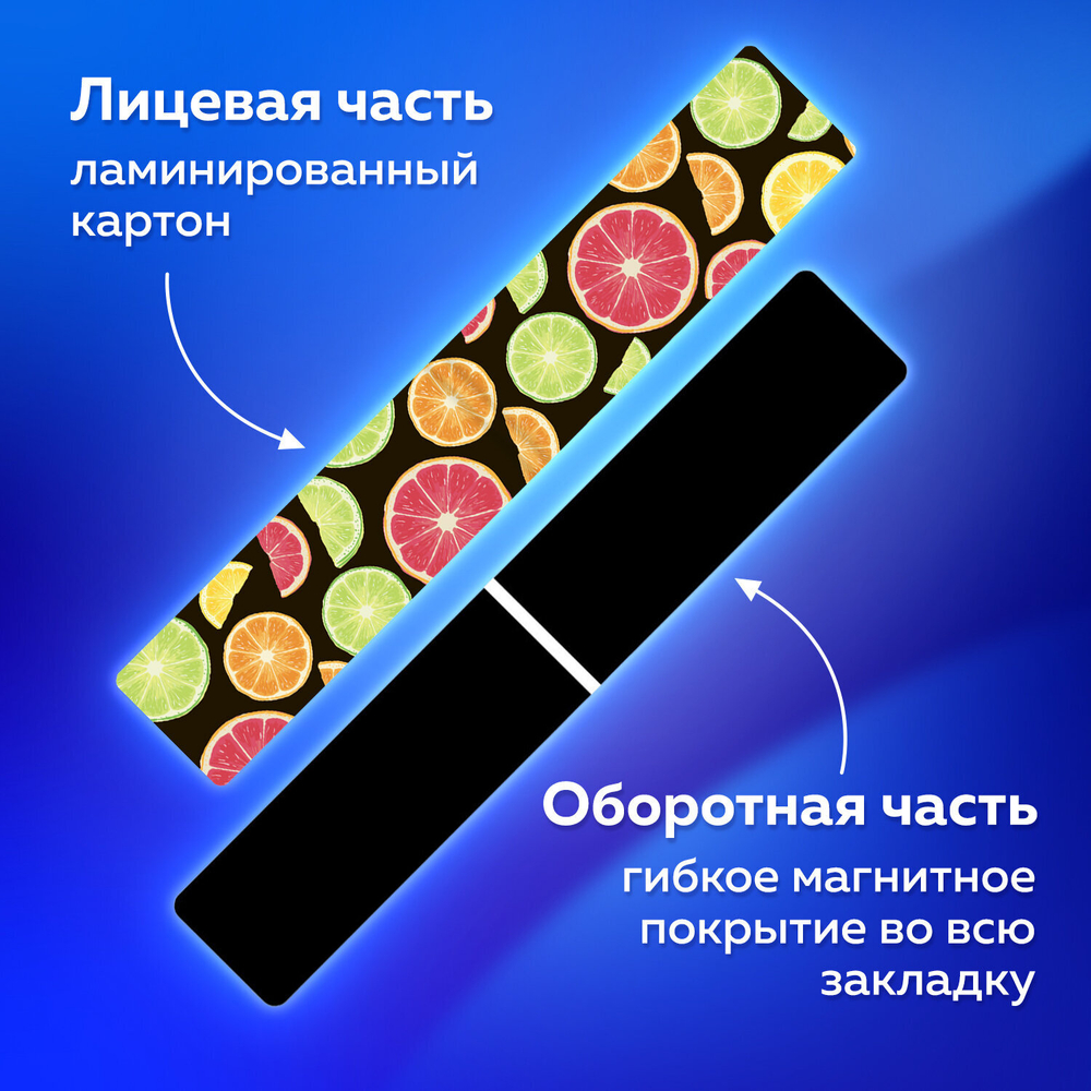 Закладки для книг МАГНИТНЫЕ, "FRUITS", набор 6 шт., 60x20 мм, BRAUBERG, 113160