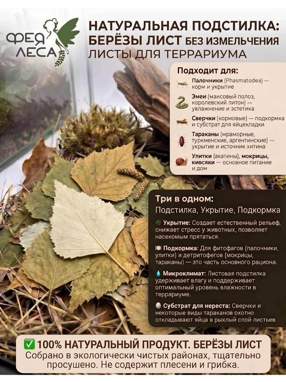 Береза лист для фитосборов, творчества и здоровья