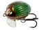 Воблер плавающий Salmo LIL'BUG F 03/GBG