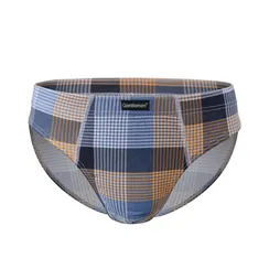 Трусы мужские (2шт) слипы для больших мужчин Gentlemen GP 7869В