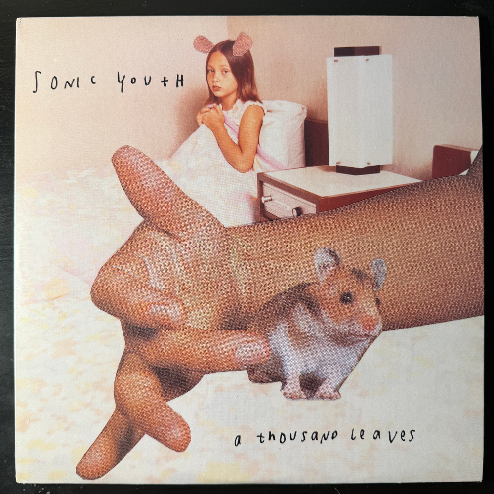 Sonic Youth – A Thousand Leaves (США 1998г.) Т