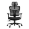 FoxGear NETZ XO Office Edition Black