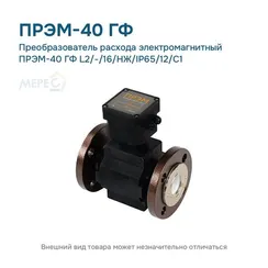 Преобразователь расхода электромагнитный ПРЭМ-40 ГФ L2/-/16/НЖ/IP65/12/C1