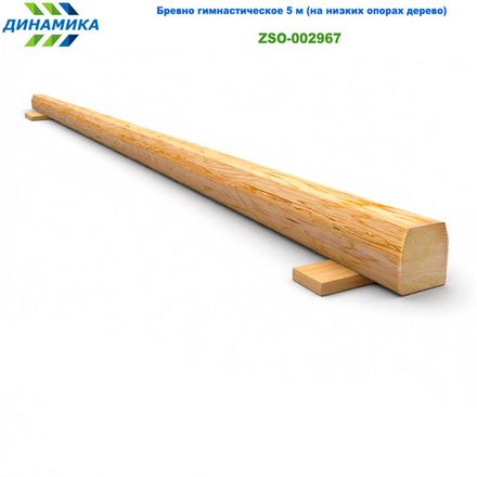 Бревно гимнастическое 5 м (на низких опорах дерево)