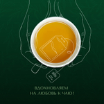 Чай "Ahmad Tea", Зеленый чай с жасмином, пакетики с ярлычками в конвертах из фольги,100х2г