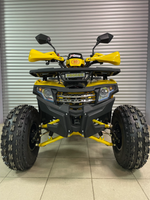 Квадроцикл PROMAX WILD 2.0 190 PRO (2025)
