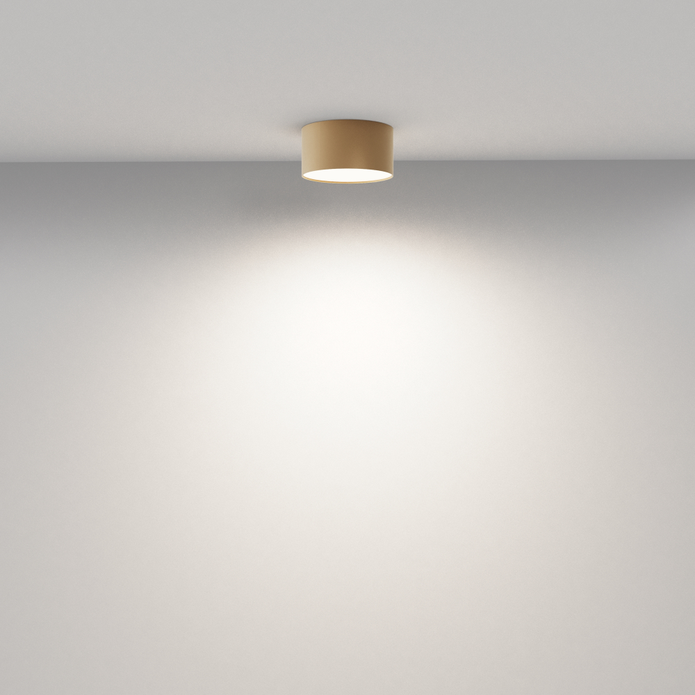 Потолочный светодиодный светильник Maytoni Zon C032CL-12W4K-RD-MG