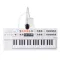 Arturia MiniFreak Vocoder White