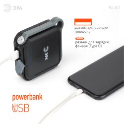 Светодиодный фонарь ЭРА PA-807 прожектор 10 Вт SMD, литий 3600 мАч, Type-C, powerbank | Прожекторные фонари