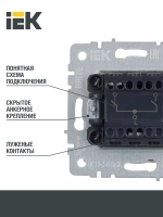 Выключатель двухклавишный Iek BRITE ВС10-2-0-БрЖ