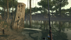 Ultimate Fishing Simulator - Amazon River (для ПК, цифровой код доступа)