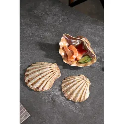 Блюдо для подачи 15*15 см h5,5 см 125 мл емкость для закусок Pearl Shell Frutti di Mare P.L. [1]