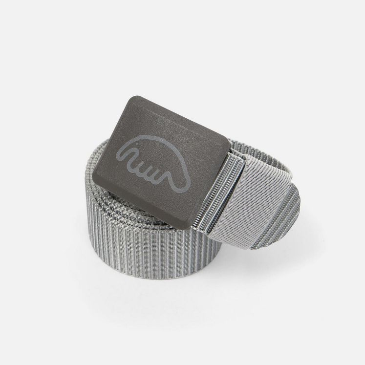 Ремень ANTEATER Belt LOGO пластик, серый
