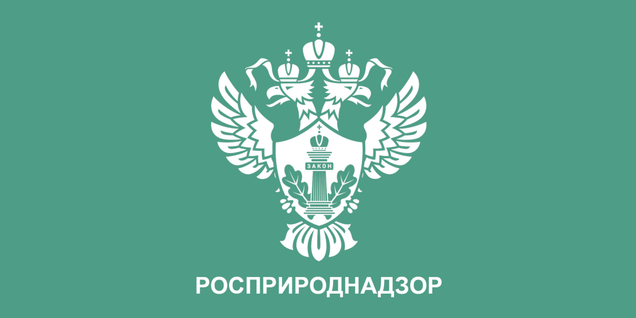 <strong><span class="">Отчётность и работа с госорганами</span></strong>