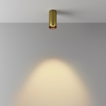 Накладной светильник Maytoni Technical FOCUS LED C056CL-L12W2.7K-W-BS