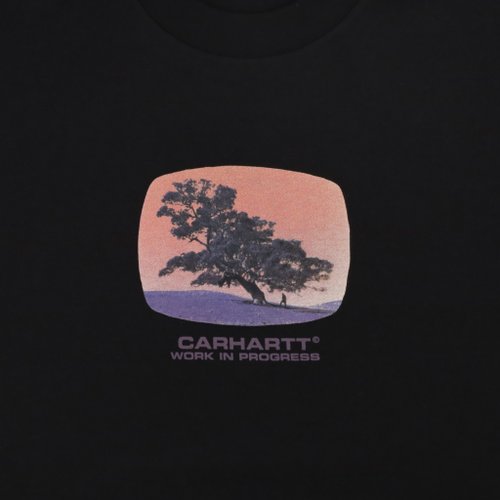 Футболка мужская Carhartt WIP Seeds артикул:I031028 - купить в магазине Дайс