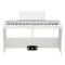 Korg B2+SP White