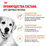 Royal Canin Golden Retriever Голден (золотой) Ретривер Эдалт Корм сухой для взрослых собак породы Голден Ретривер 12кг