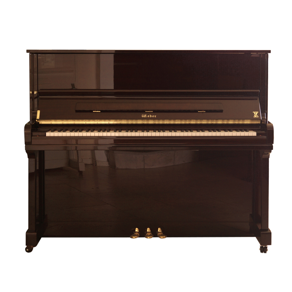 Weber Professional Studio W121