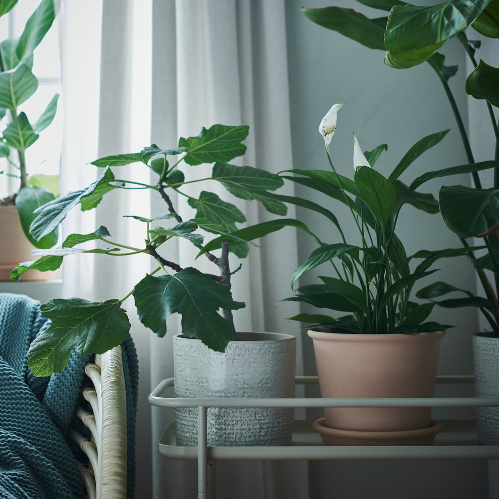 IKEA CHIAFRÖN  (ИКЕА СХИАФРÖН)  -  Крышка для цветочного горшка, внутренняя/наружная белая, 15 см