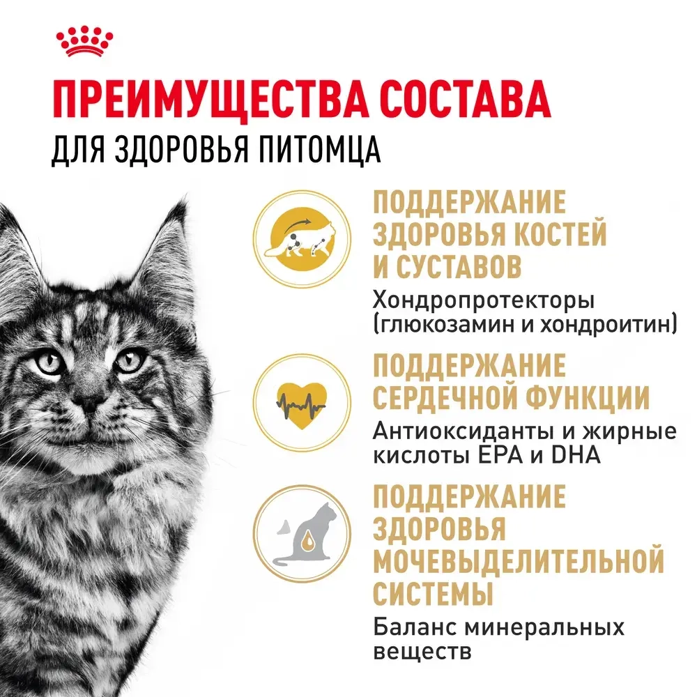 Корм Royal Canin Maine Coon Adult для кошек породы мейн-кун старше 15 месяцев 0.4кг