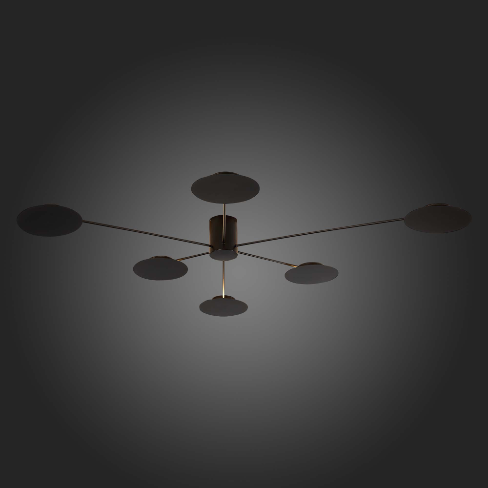 Светильник потолочный ST Luce Tondo SL6006.402.06