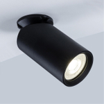 Накладной светильник Arte Lamp NODO A3213PL-1BK