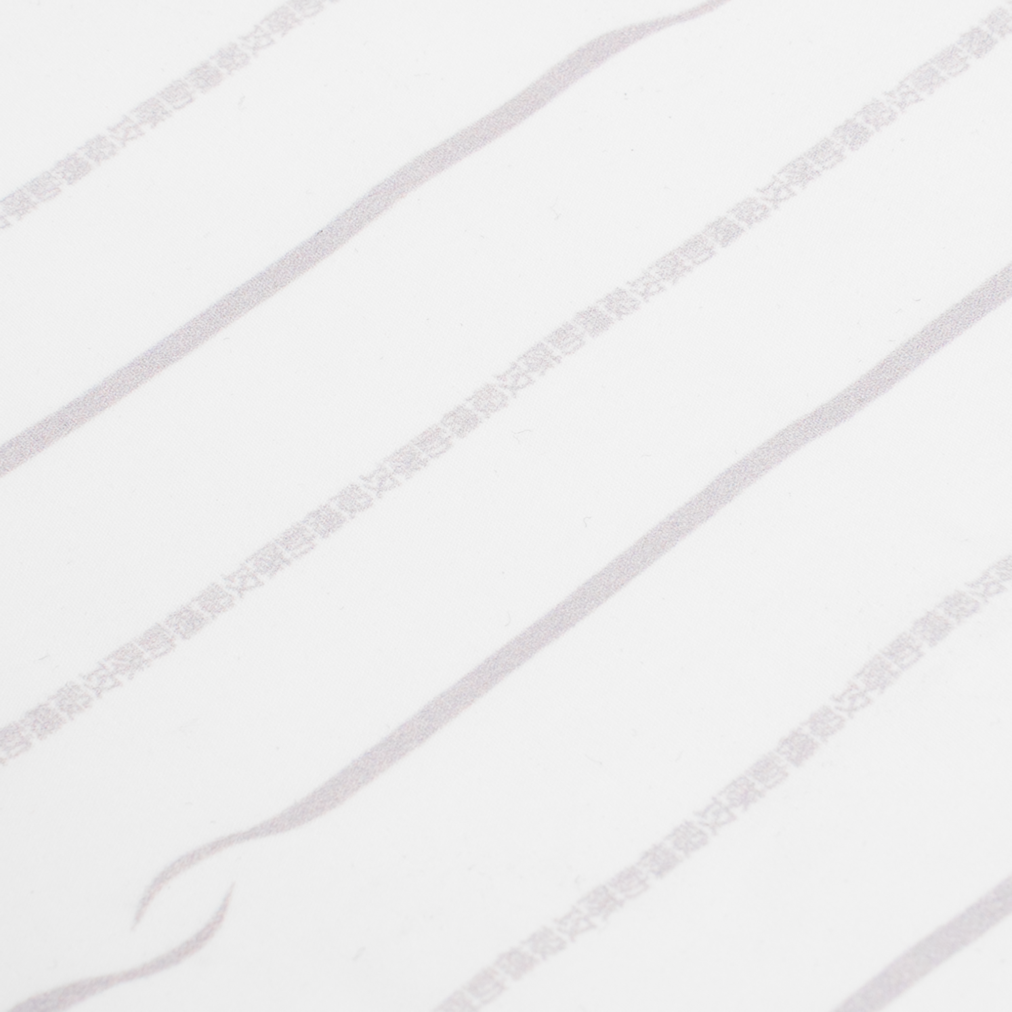 «2029» GITS Striped Shirt